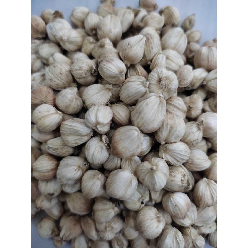 

and25 - Kapulaga Kemasan Ekonomis 500gr – Rempah Bumbu Serbaguna