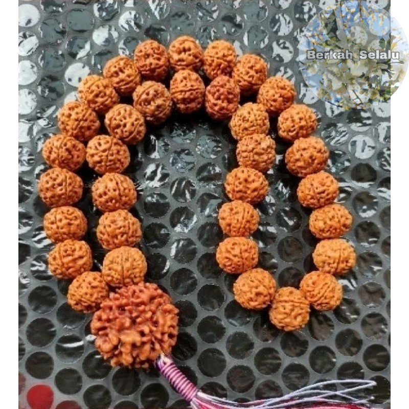 Tasbih 33 Tasbih Jenitri Rudraksha 33 Butir Tridatu Size Biji 10-12Mm Bandul Jenitri Besar Berkah_Se