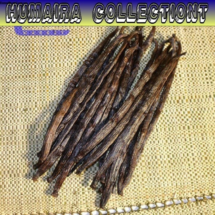 

bibit Stek Vanilli Vanilla Paneli Bean Siap Tanam