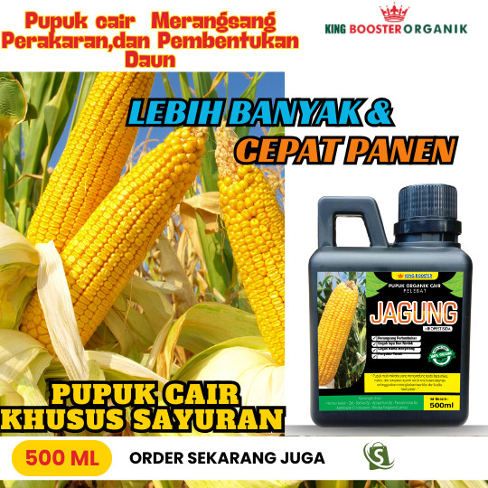 Pupuk Booster JAGUNG Pupuk Cair JAGUNG Pupuk Semprot 500ml Untuk Tanaman dan JAGUNG Pupuk Ajaib Perb