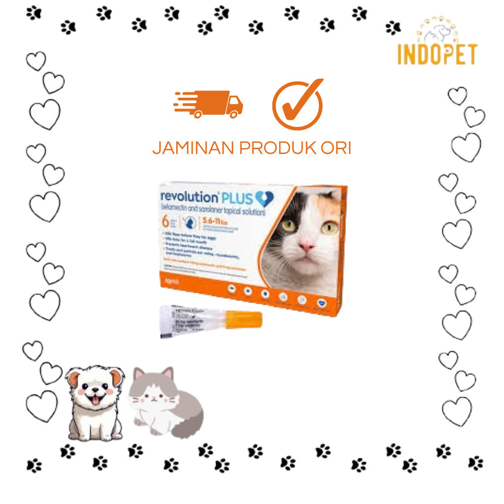 REVOLUTION PLUS 5.6 - 11 LBS (ORANGE)