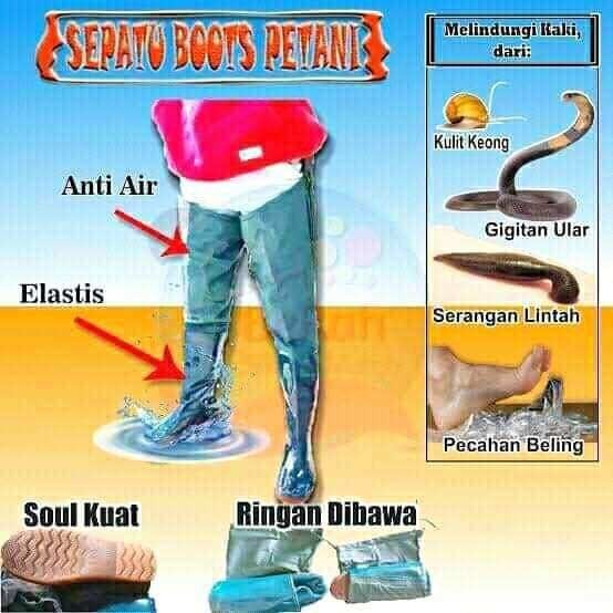 SEPATU BOOTS SERBAGUNA SEPATU BOOTS SAWAH ANTI KEONG 110CM