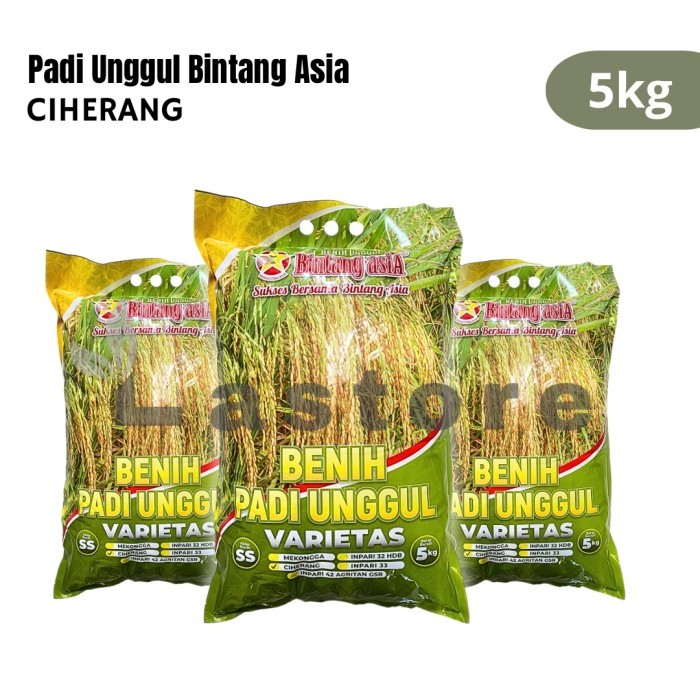 Benih Padi Hibrida Super Unggul Ciherang 5Kg Bintang Asia