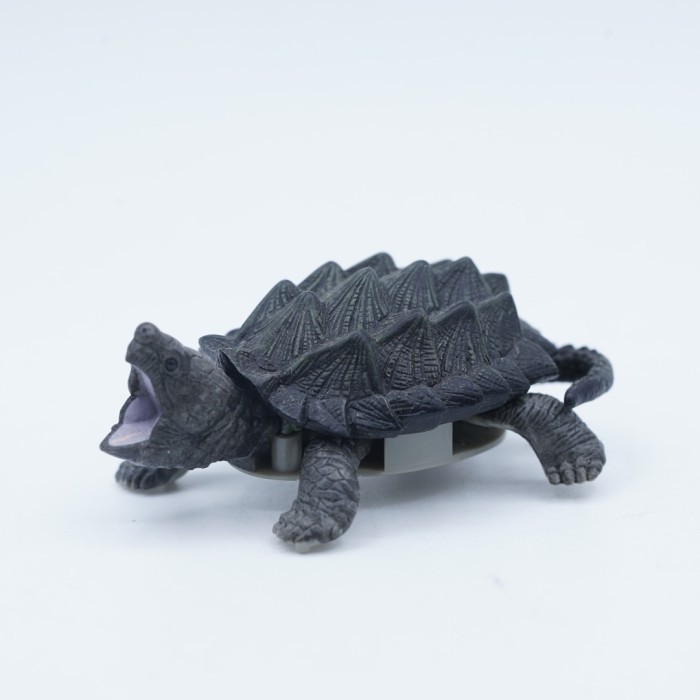 Alligator Snapping Turtle T-Arts Mainan Animal Mini Figure Binatang Miniature Edukasi Anak Hewan Fig