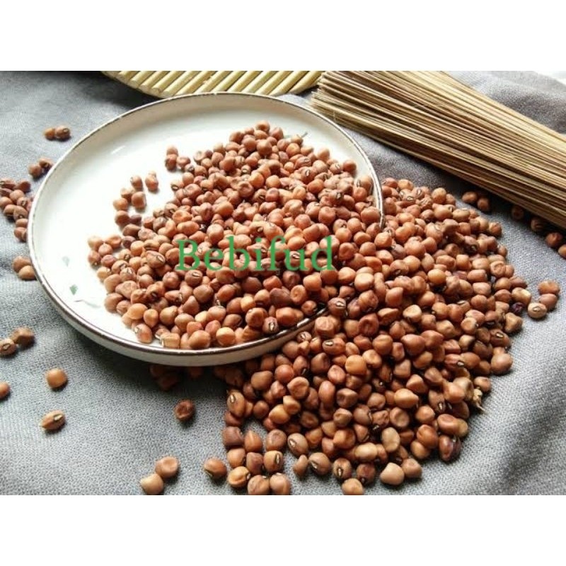 

KACANG TOLO FRESH BEST SELLER
