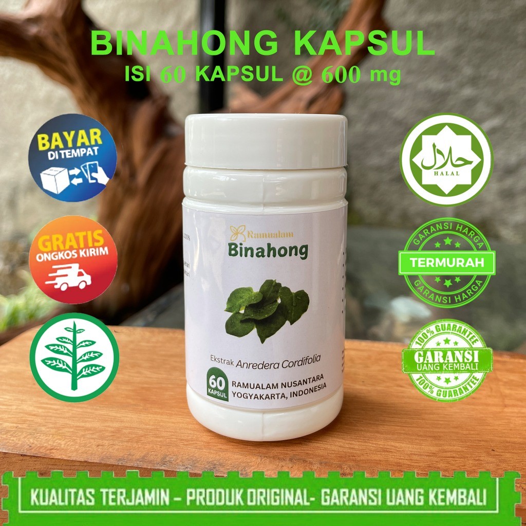 Kapsul Binahong 50 Kapsul - Membantu Mengobati Luka Pasca Operasi