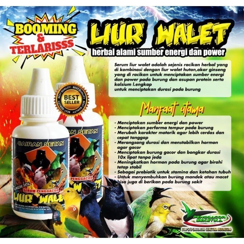 Cairan Setan Liur Walet Suplemen Vitamin Penggacor Burung Supplement Burung Terlaris dan Ampuh