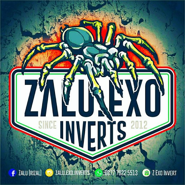 Mainan Tarantula poechiloteria metalica blue by Z.E.I Toys