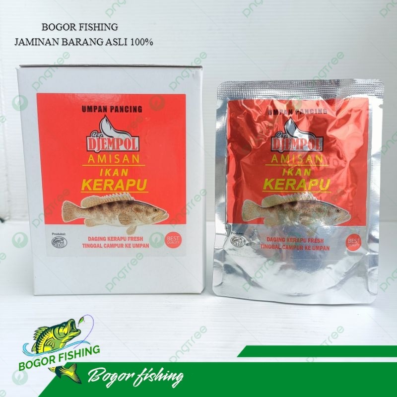 Amisan Djempol Kerapu - Umpan pancing pelangi kerapu - Djempol Kerapu - Pelangi Kerapu
