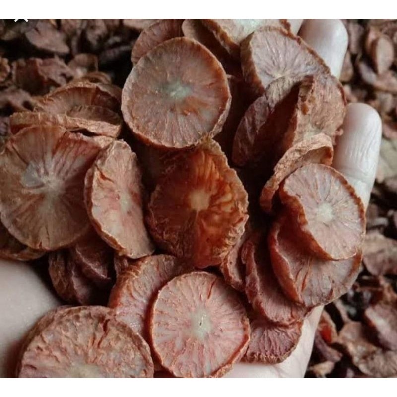 

Buah Pinang Iris Koin Kering 500Gram