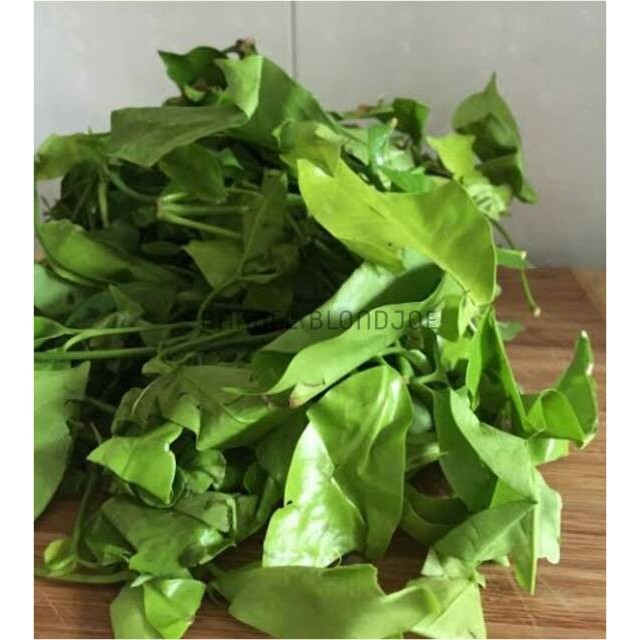

DAUN SOO PER PACK / MLINJO / MELINJO / SAYUR SAYURAN SEGAR / FRESH VEGETABLES / VEGETABLE