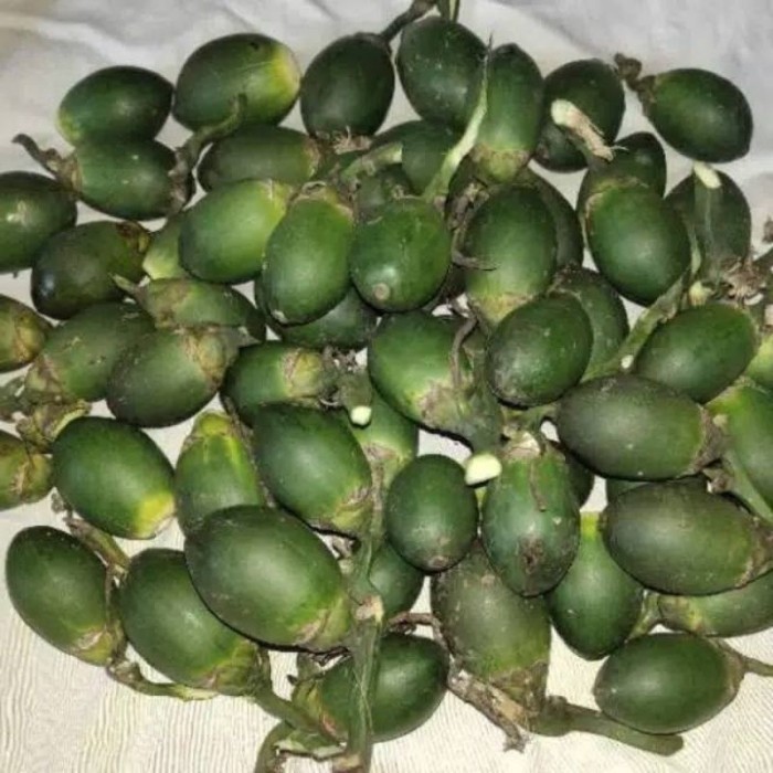 

Buah Pinang Muda Fres Segar 500 Gram Stok ready silahkan diorder