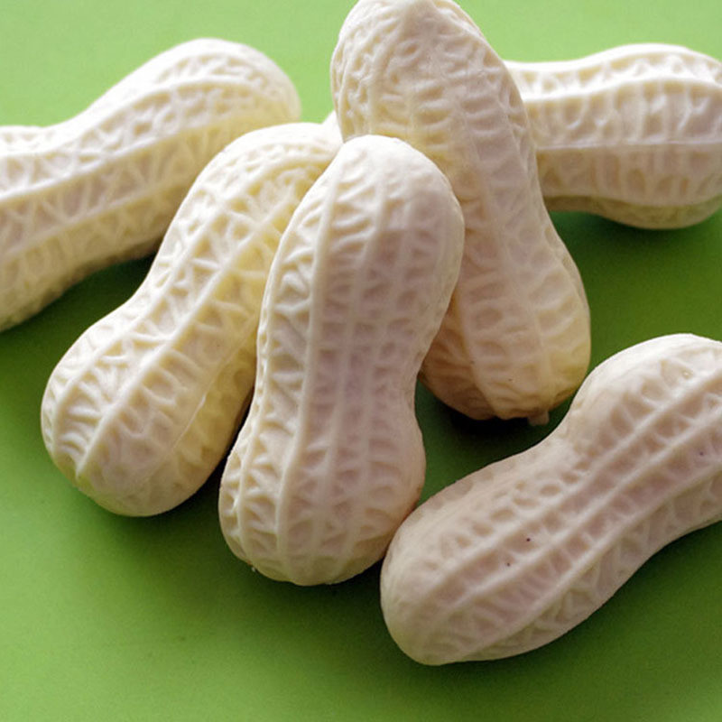 

1 Piece Cute Kawaii Peanut Eraser Rubber Korean Groundnut Stationery School Office Supply Novelty Kids Gift Creative Ellen Brook