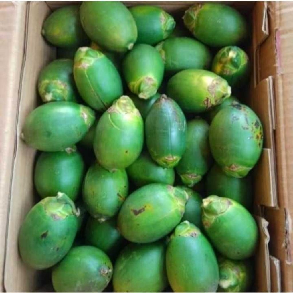 

Pinang Muda Segar Baru petik isi 20