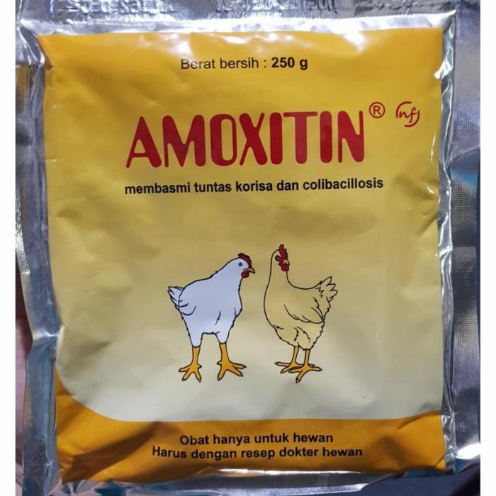 Amoxitin 250 gram obat ayam pilek ngorok korisa dan colibacillosis