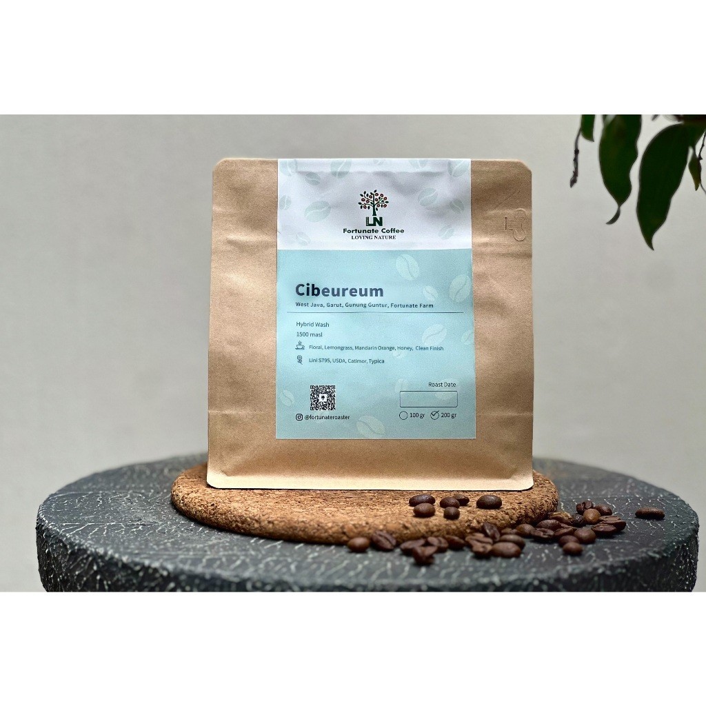 

Cibeureum Hybrid Wash Fortunate Farm Gunung Guntur Garut West Java Jawa Barat Biji Kopi Arabika Roasted Coffee Beans - 1 kg