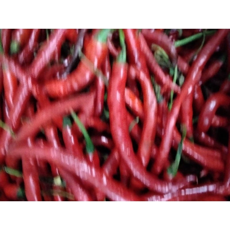 

Paket Cabai Merah Kriting Fresh 1KG