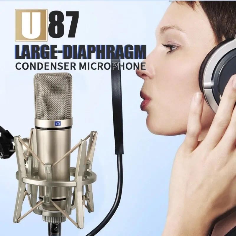 RAYHAYES U87 Condenser Microphone Professional Cardioid Studio Mic for Podcasting Streaming Home Stu