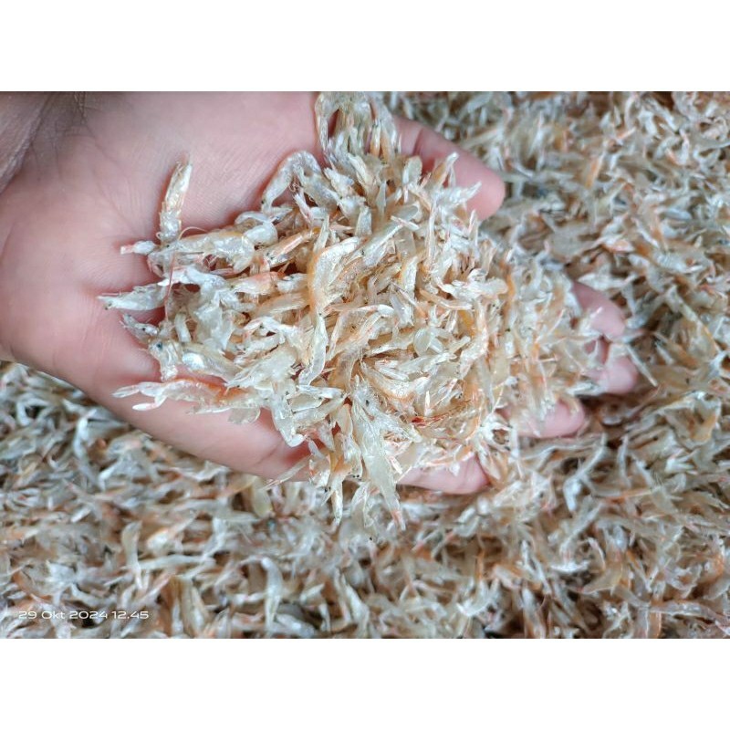 hobi udang rebon kering /udang kecil kering/grago