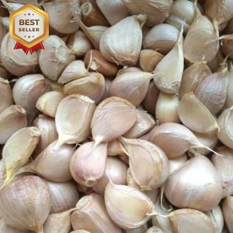 

BAWANG PUTIH KATING 1 KG BERSIH BERKUALITAS Kecombrang