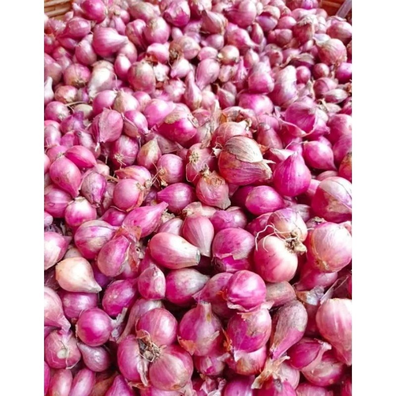 

bawang merah organik murah 1 kg|berkualitas asli Nganjuk