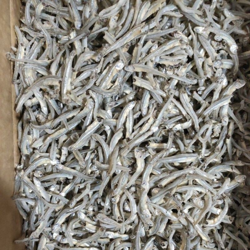 

Ikan Teri Buntiaw / Ikan Teri Jengki 100gr | Sayur Segar Medan