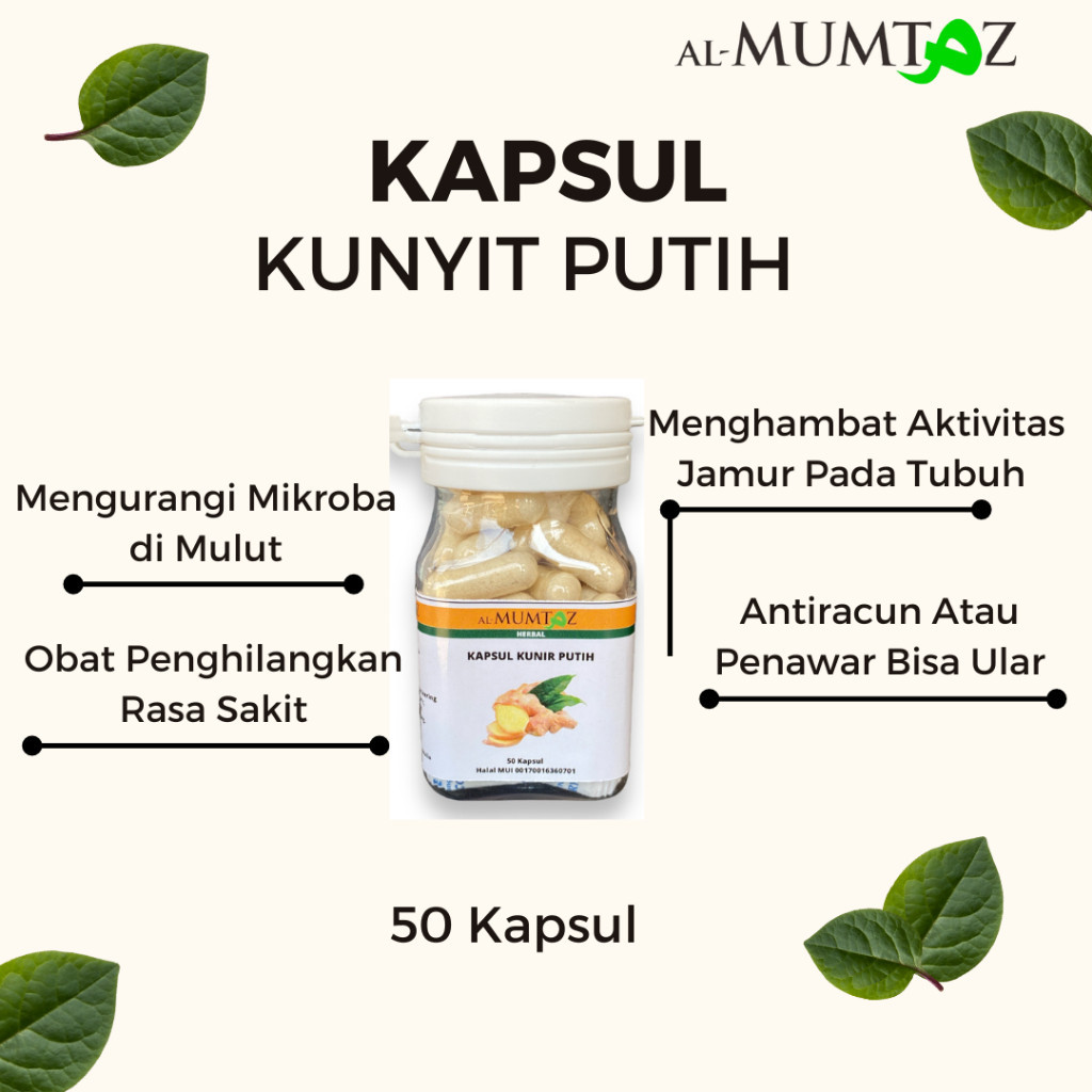 

Obat Herbal Kapsul Kunyit Putih Untuk Kanker Temu Mangga Kunir Putih Organik alami Asli Murni Curcuma