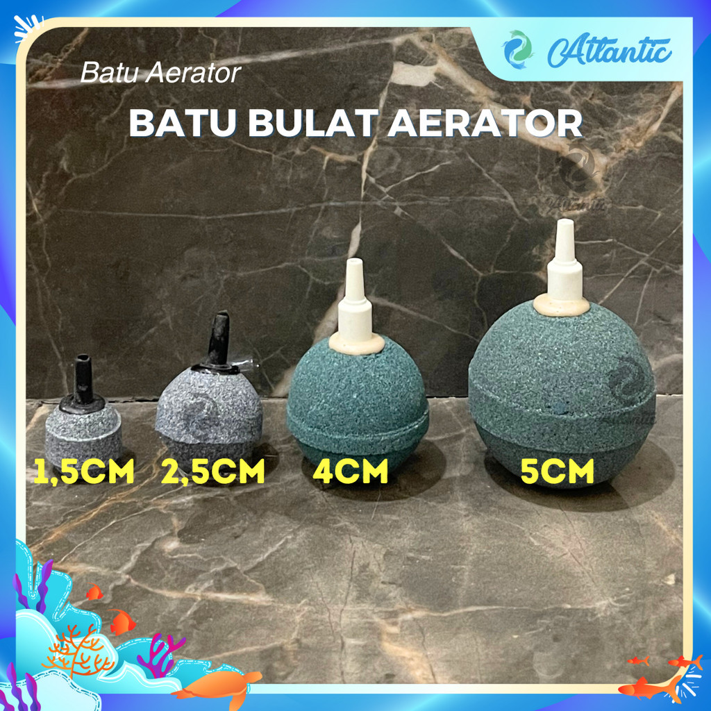 Batu Gelembung Bulat 5cm Batu Aerator Gelembung Udara Oksigen 5 cm Jumbo Besar Aquarium Akuarium
