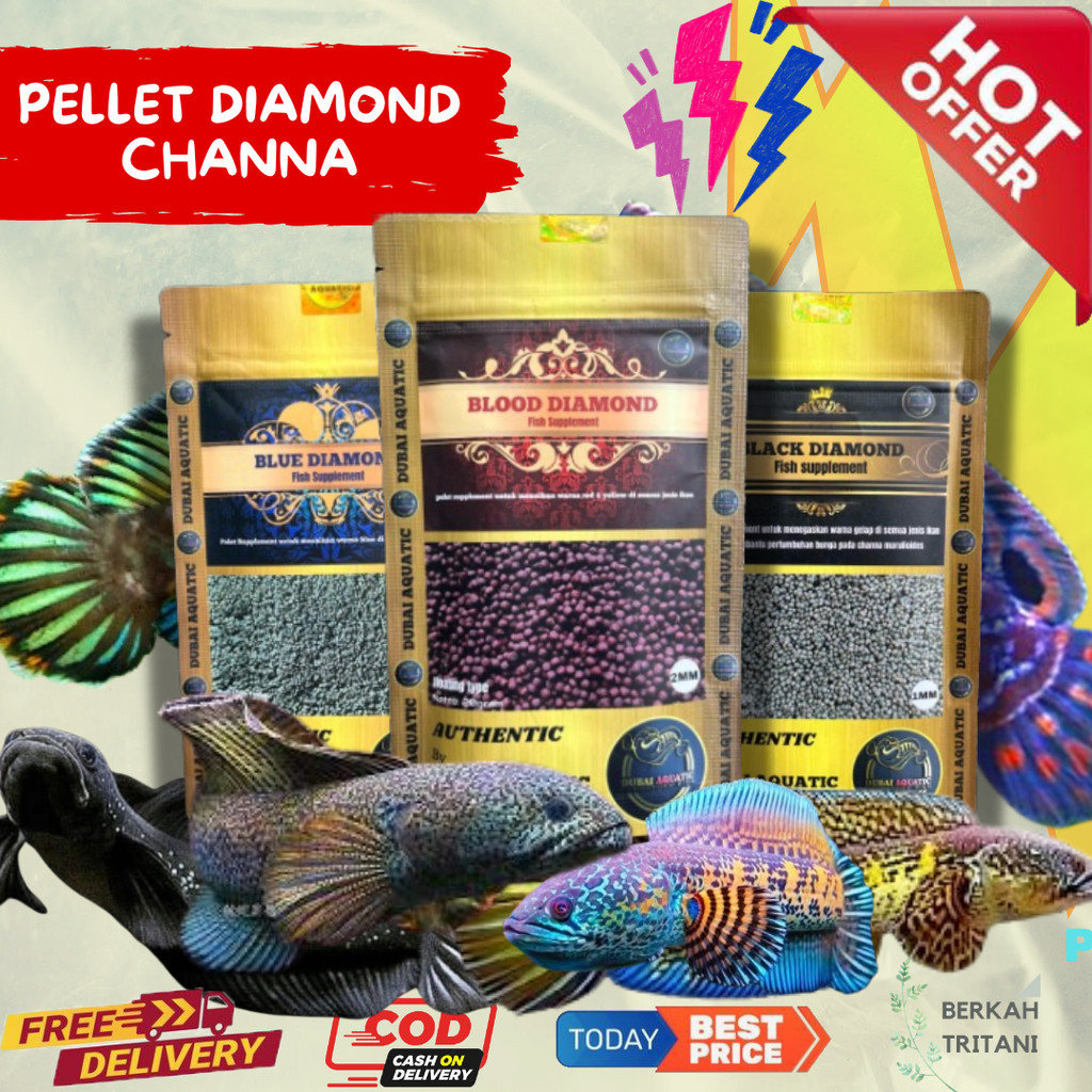 Makanan ikan pelet ikan black diamond  mempertegas bar menaikan bunga pada maru dll