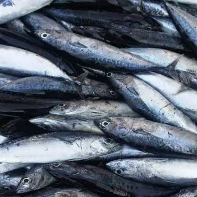 

Ikan Layang / Ikan Pindang / Berat 500 gram