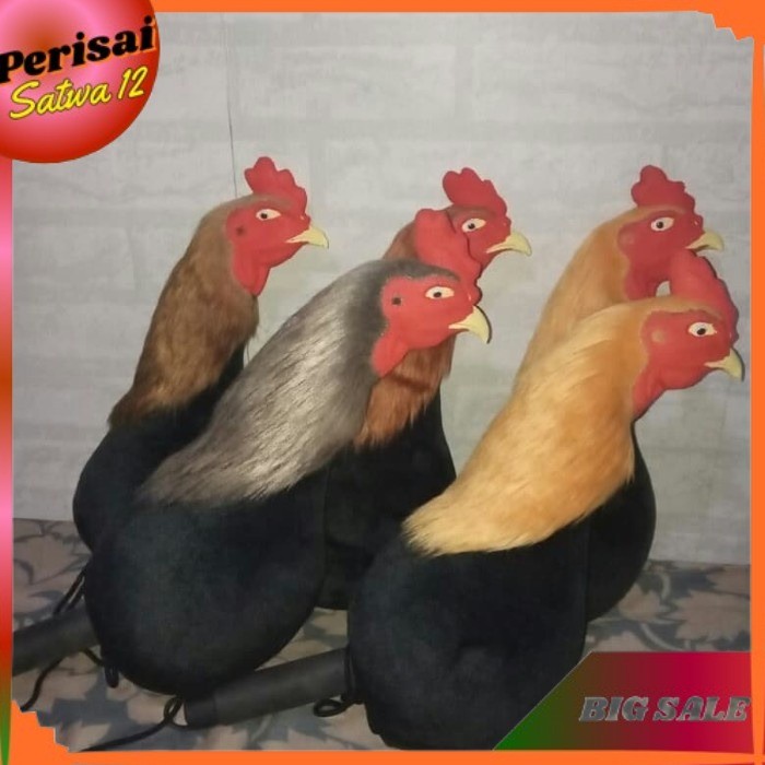 Boneka kepala Ayam jago aduan Melatih fisik ayam aduan