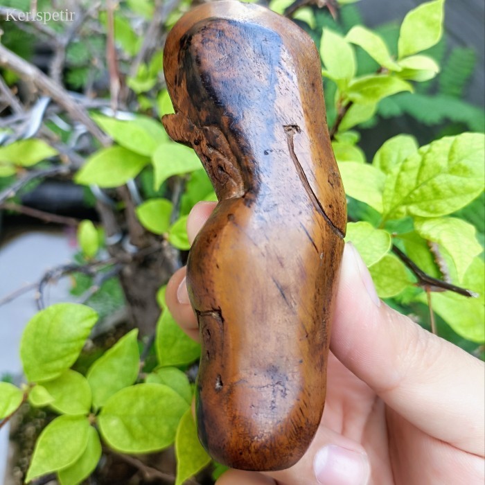 

Deder atau gagang keris narodo kayu timoho murah antik