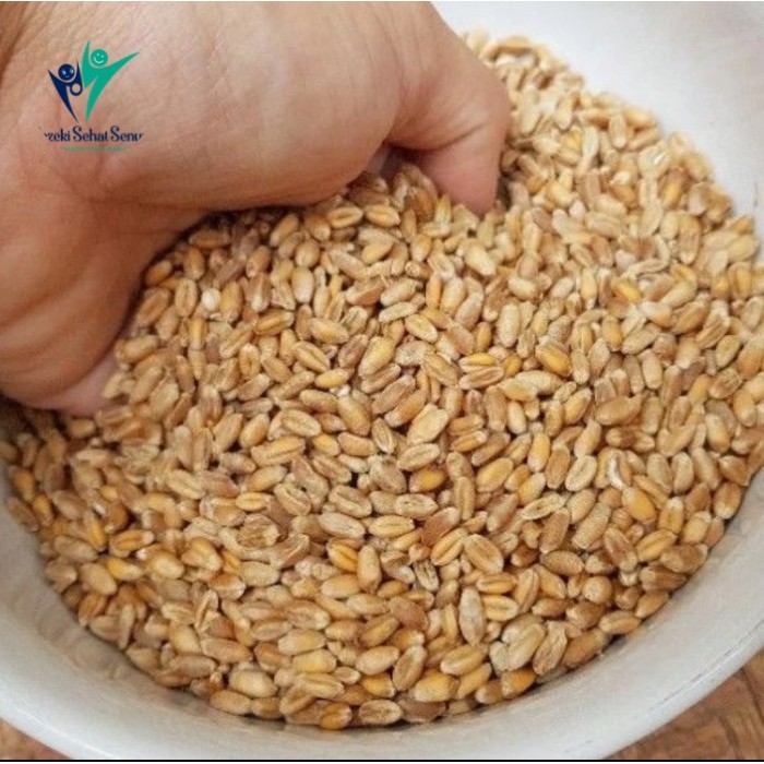 

Biji gandum utuh 1kg whole wheat food grade