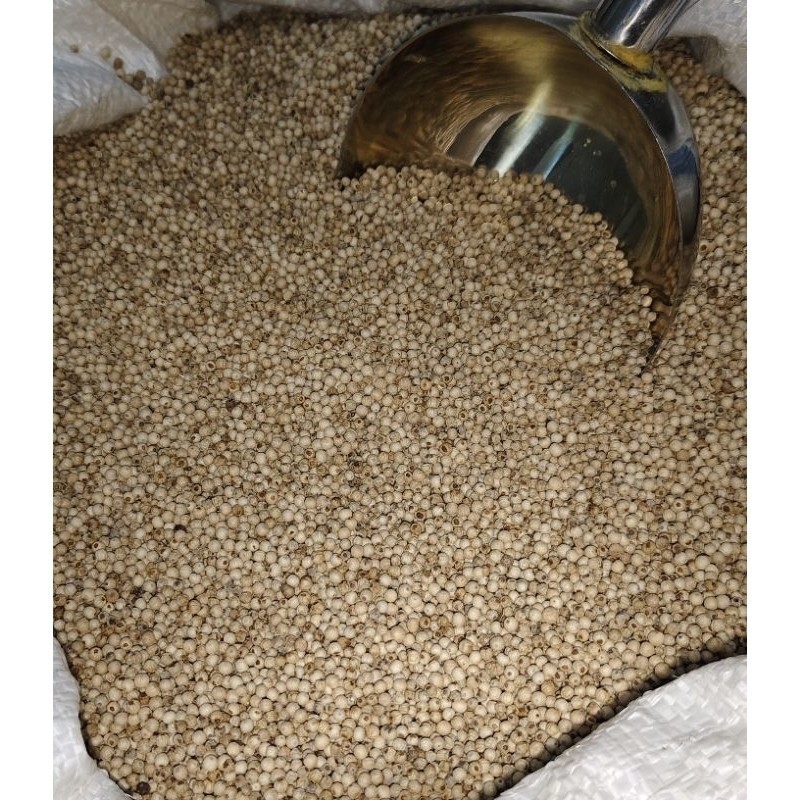 

Lada putih 1kg / biji lada putih lokal premium