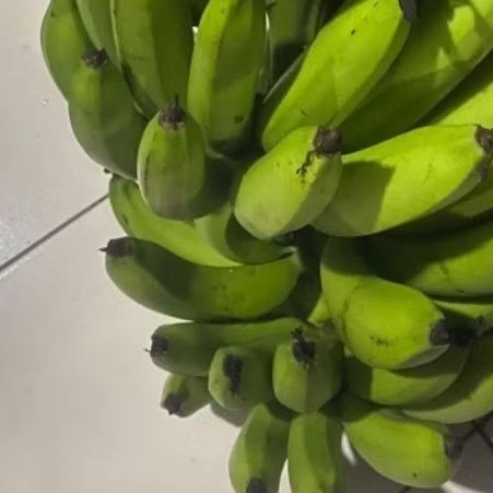 

Buah Pisang Mentah NRY BL Pisang Bangkaulu Fresh