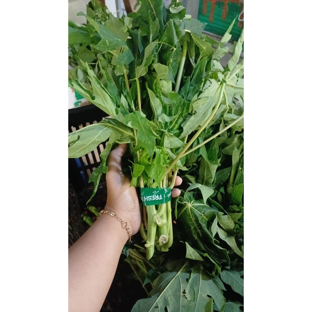 

DAUN PEPAYA MUDA ± 225 GR HARIAN PASAR