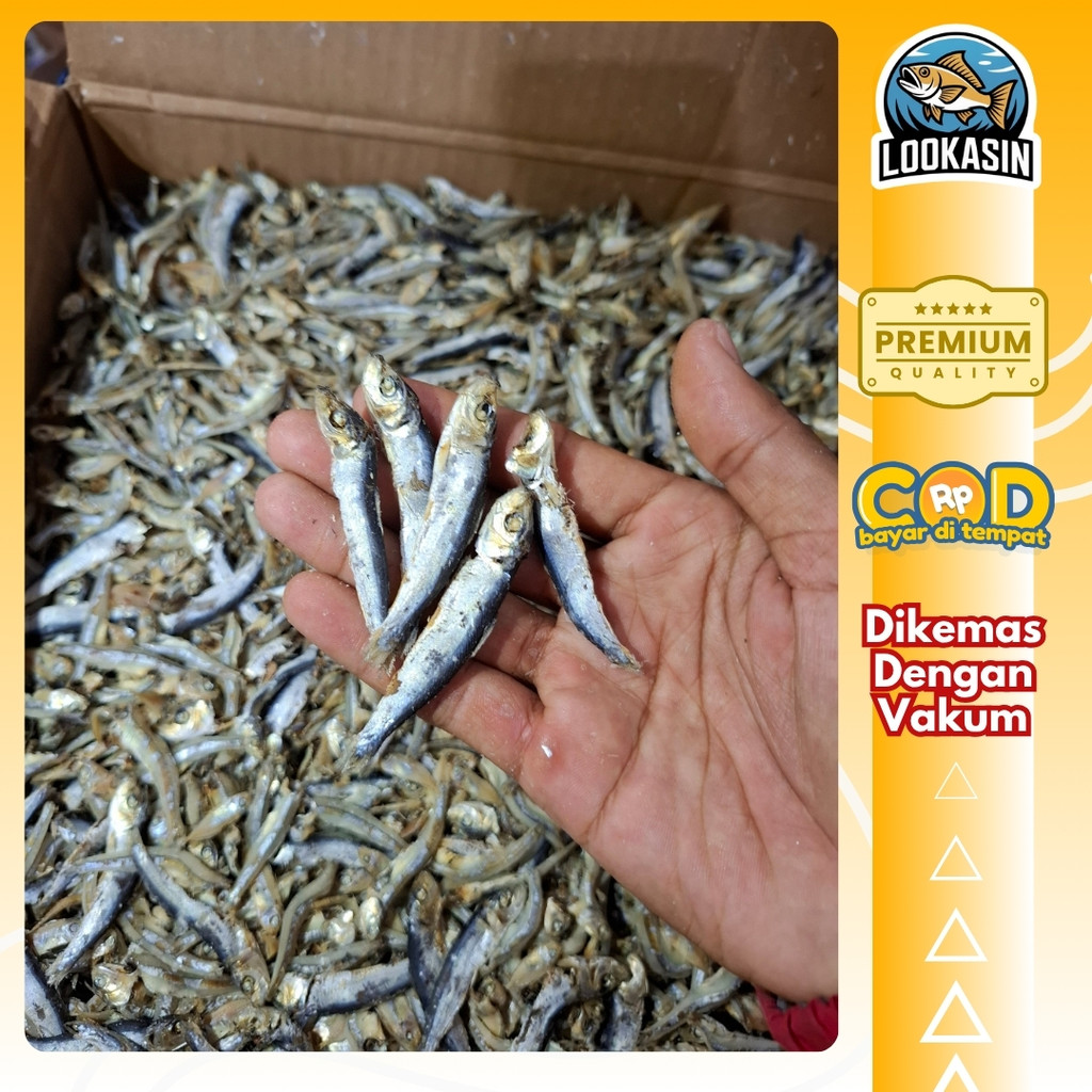 

Japuh Cuek 500gr – Ikan Asin Pilihan Khas Laut | Gurih & Tahan Lama