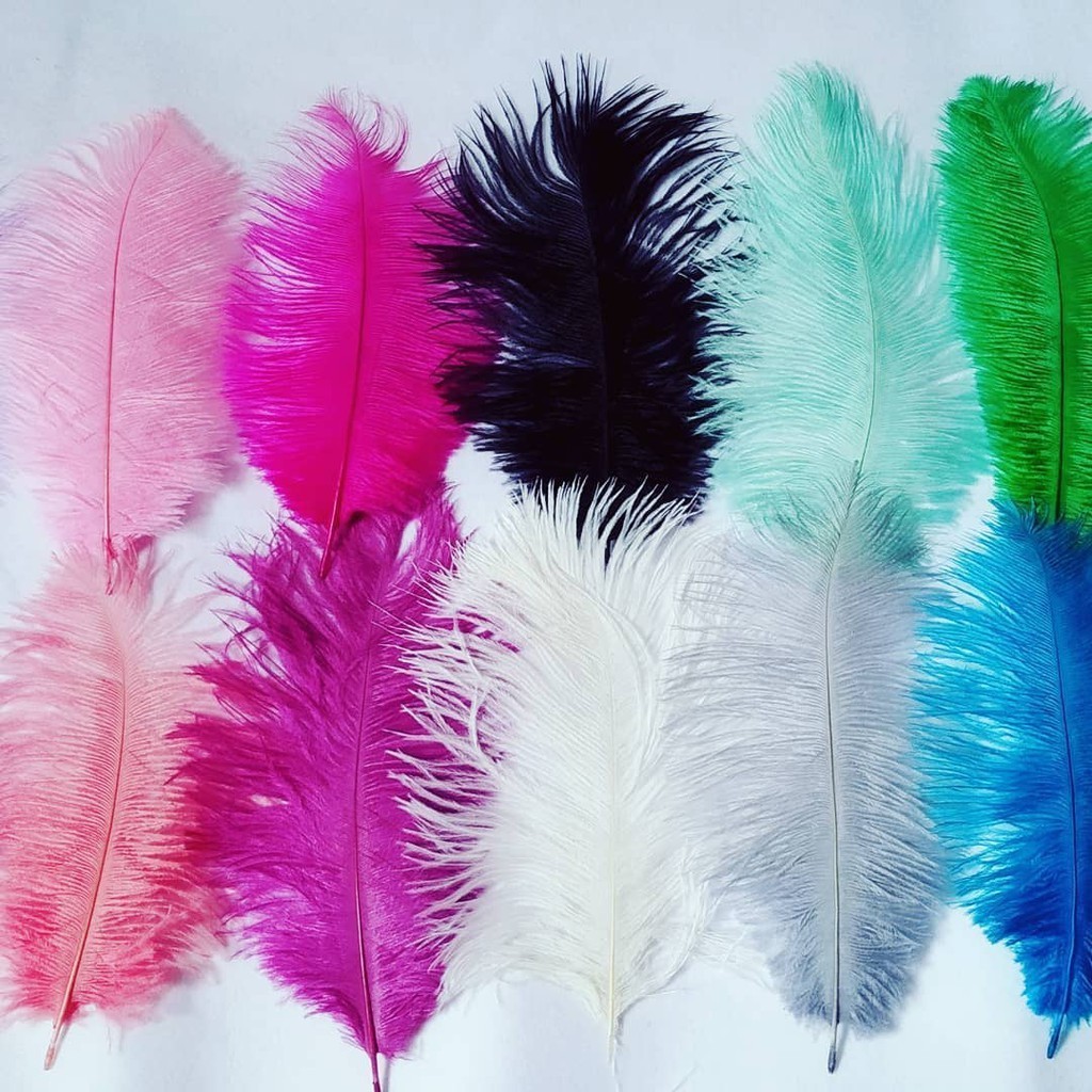 KM_001 bulu kemucing / bulu ostrich (perhelai)