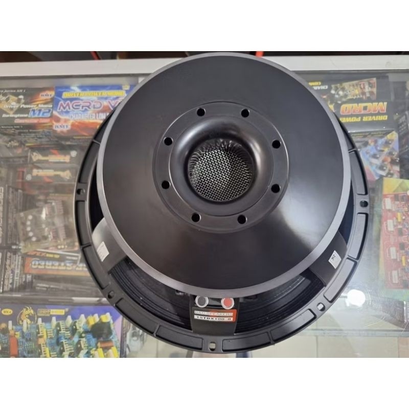SPEAKER BNC 15 INCH 15TBX100
