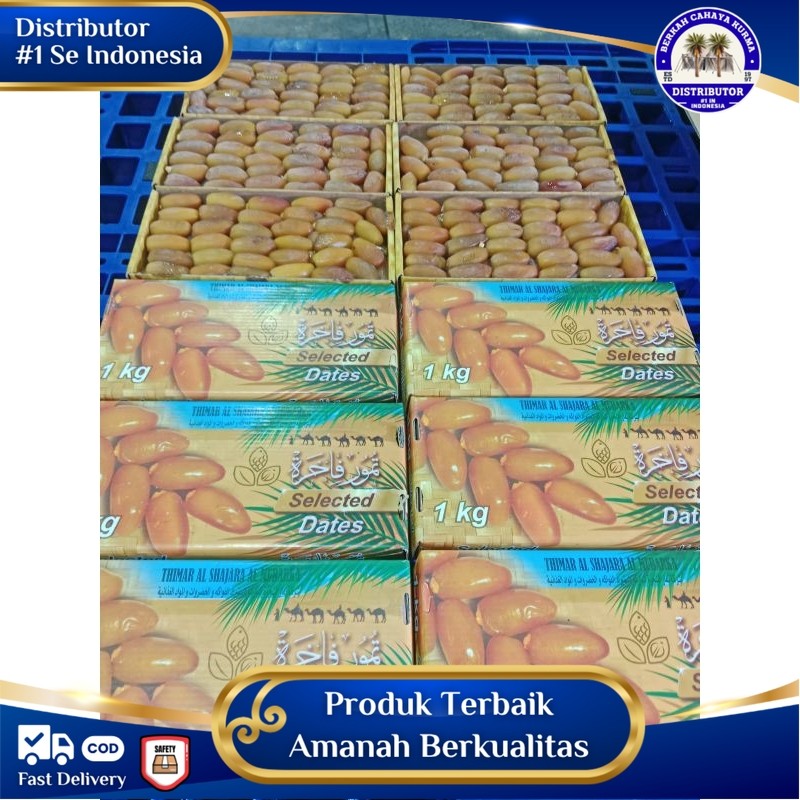 kurma Libya tangkai Libya segar kurma 1kg kurma fresh kurma Tunis Libya1kg kurma baru buah kurma  se