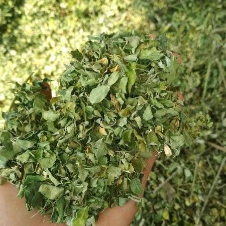 

Daun Kelor Asli Kering 100 Gram Herbal Alami