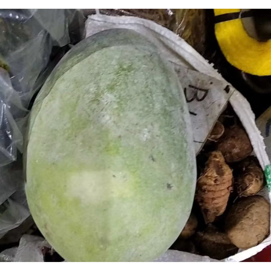 

1kg - 1,5kg buah bligo,buah kundur,buah blonceng,benih labu putih blonceng/fresh selalu,sayur segar/buah