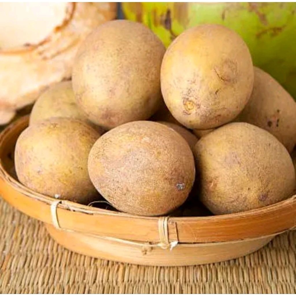 

Buah Sawo Tua siap matang fress petik 1kg khualitas eksport