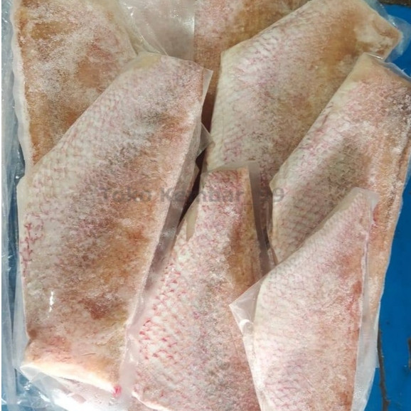 

Ikan Segar 1Kg Ikan Kakap Merah Fillet Kakap Merah Segar