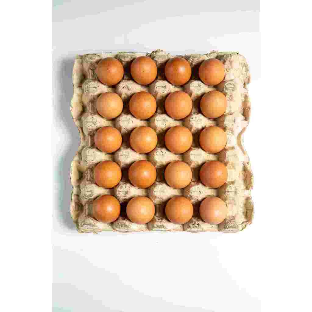 

telor omega premium /super artinya yg premium paling bagus ya ka/omega