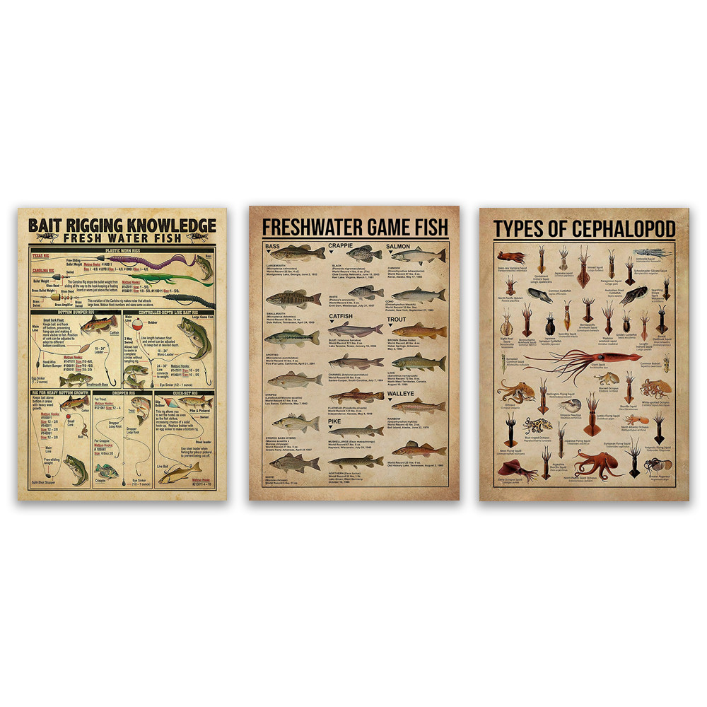 

Freshwater Game Fish Bass Fishing Knowledge, Cephalopod Types, Octopus Species, Bait Rigging Knowledge Poster, Fisherman Gift
