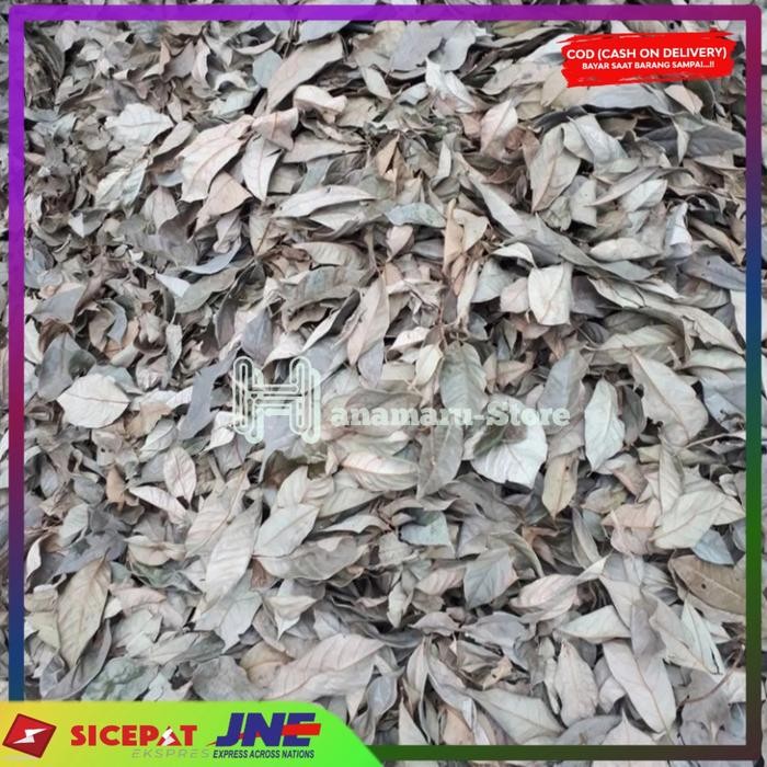 

Daun Rempah herbal Daun Pala Kering 100gram/pack