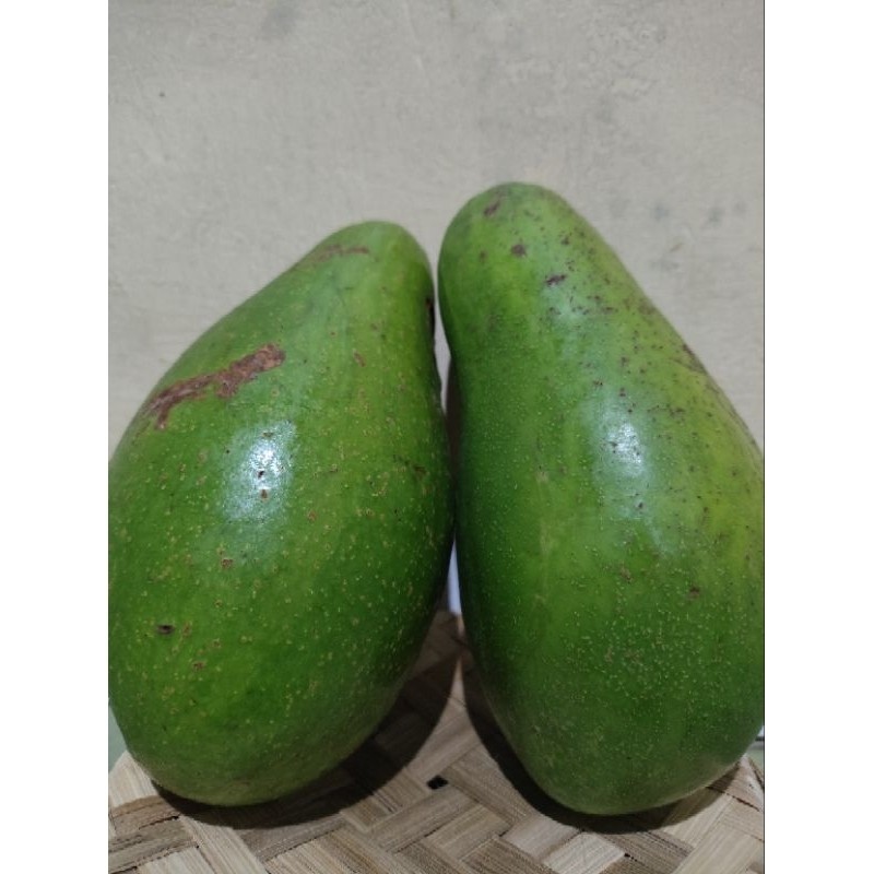 

alpukat mentega muria jumbo 1 kg isi 2-3 buah/fresh/nikmat/bergaransi