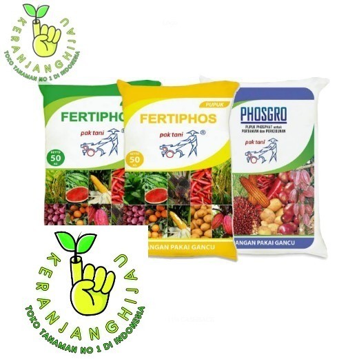 Pupuk Phospat SP TSP PHOSGRO FERTIPHOS Kemasan Repack 500 Gram - Pupuk Pembenah Tanah BEST QUALITY