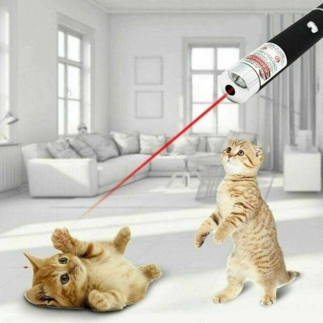 

Gantungan Kunci Red Laser Pointer Senter Lampu Mini 2in1 Anak Kucing